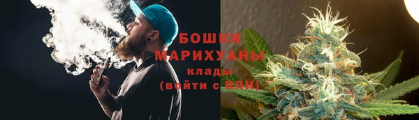 твердый Арсеньев