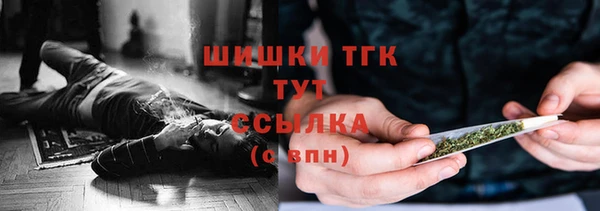 твердый Арсеньев