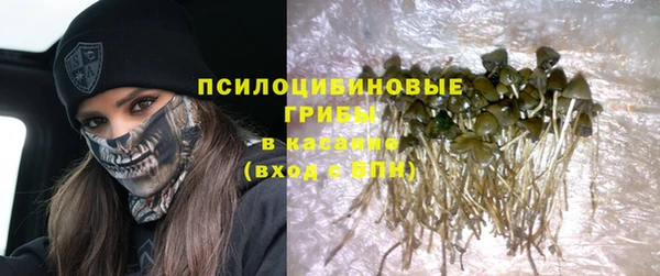 твердый Арсеньев