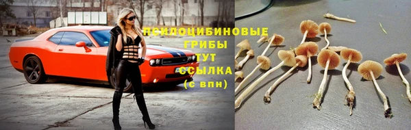 твердый Арсеньев