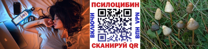 купить   Асино  Галлюциногенные грибы мухоморы 